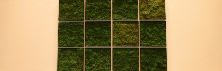 Project/MOSS WALL